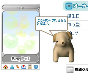 070330bug4.jpg 070330bug4.jpg