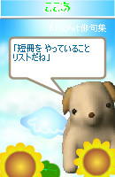 ここあ