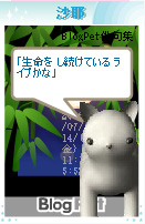 沙耶